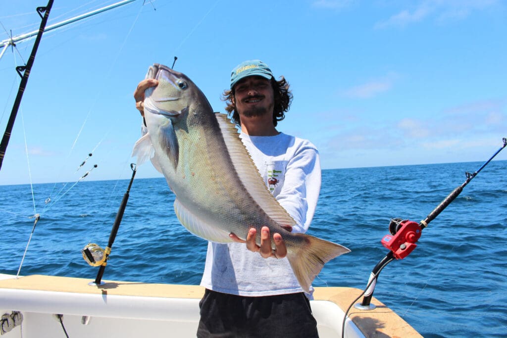 deep drop rigs