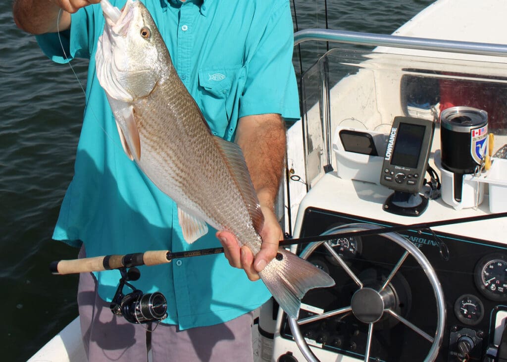 spinning reels for saltwater