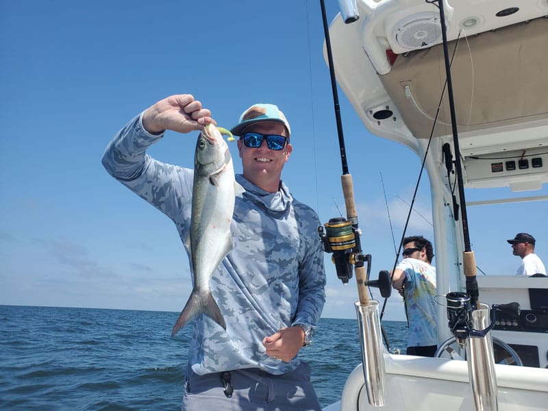 bluefish