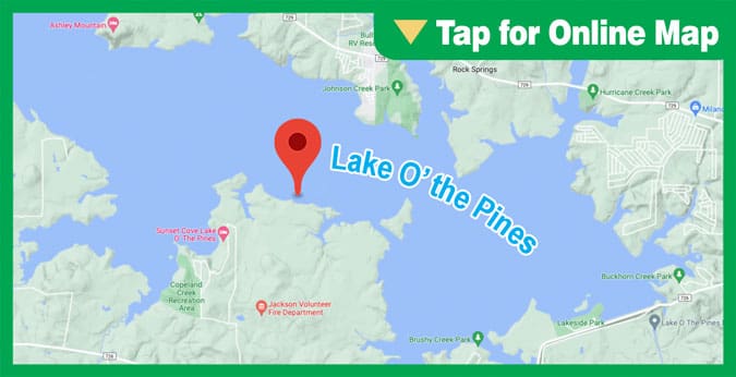 Lake O the Pines: Shoreline