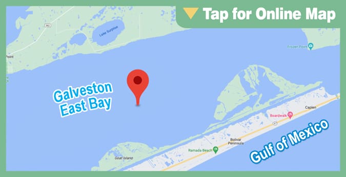 Galveston East Bay: Middle Reef