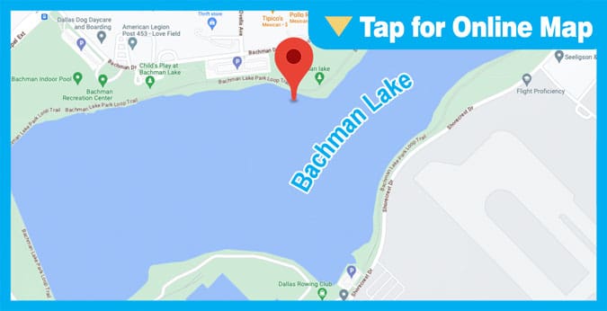 Bachman Lake: Main Lake