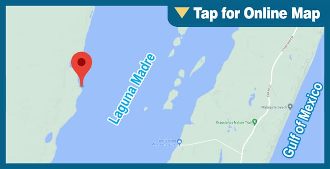 Upper Laguna Madre: King Ranch Shoreline