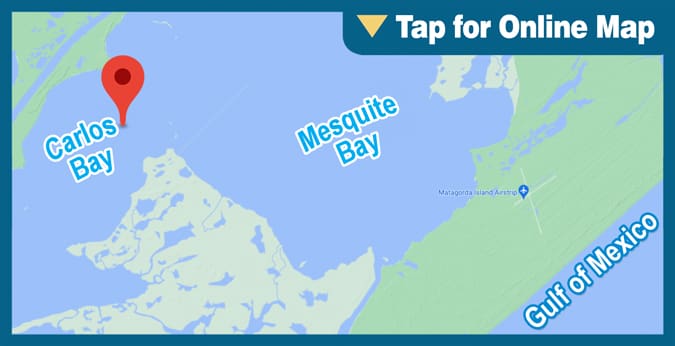 Carlos Bay: Cedar Reef