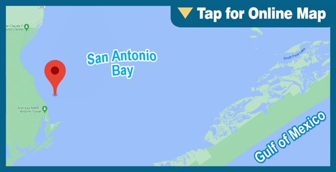 San Antonio Bay: Chicken Foot Reef