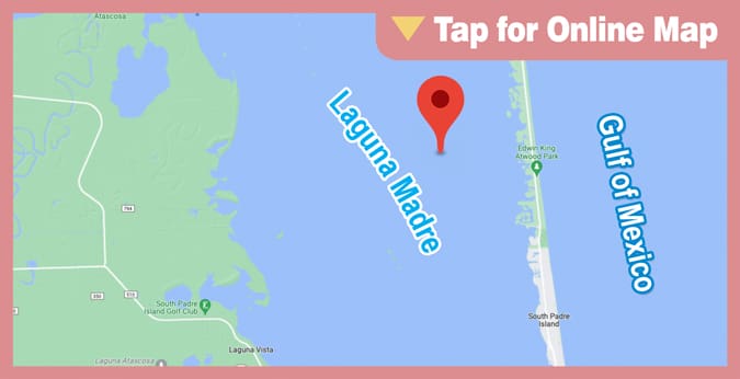 Lower Laguna Madre: Color Change