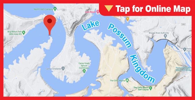 Possum Kingdom: Stump Patch
