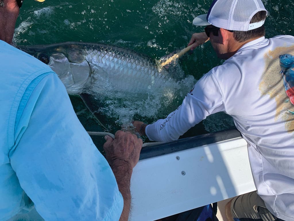 A tag and track study by Texas A&M Galveston, Texas A&M Corpus Christi, University of Texas Rio Grande Valley, and Louisiana State University has received funding funding from the Bonefish & Tarpon Trust, Pelagic Fisheries Institute, and the Lyons Charitable Foundation with Mark Lyons. It is revealing some amazing data on Texas tarpon movements.