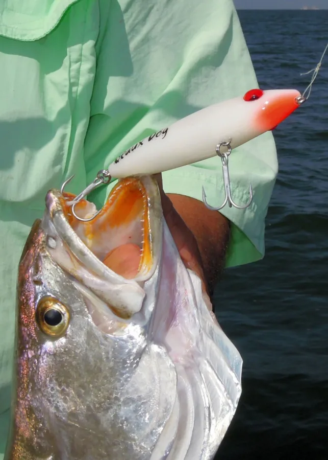 Big trout are spooky fish. Anglers should learn to throw even large lures as gently as possible.