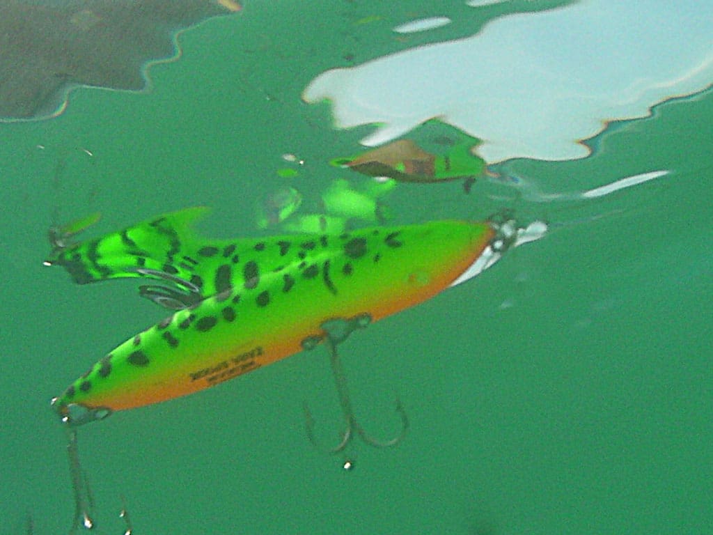 Anglers along the coast know when the surf gets sandy green big specks will bite topwaters, especially early in the morning.