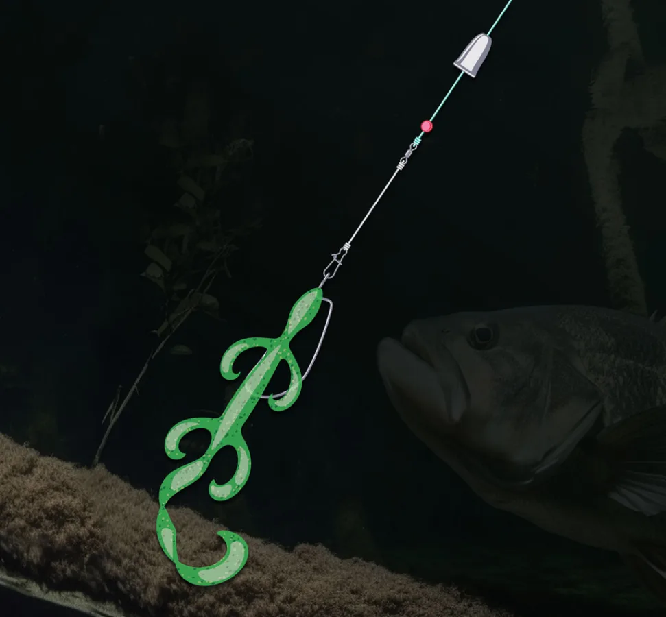 Carolina Rig
