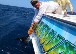 holding a marlin