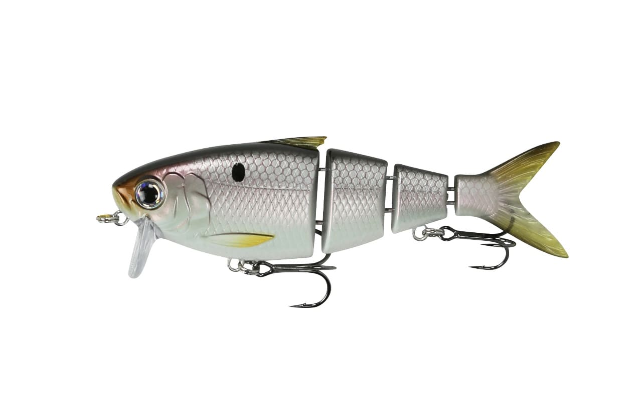 fish and fool lure Skate'n or stop and go retrieve. Fish Catchin Fool | Valdosta