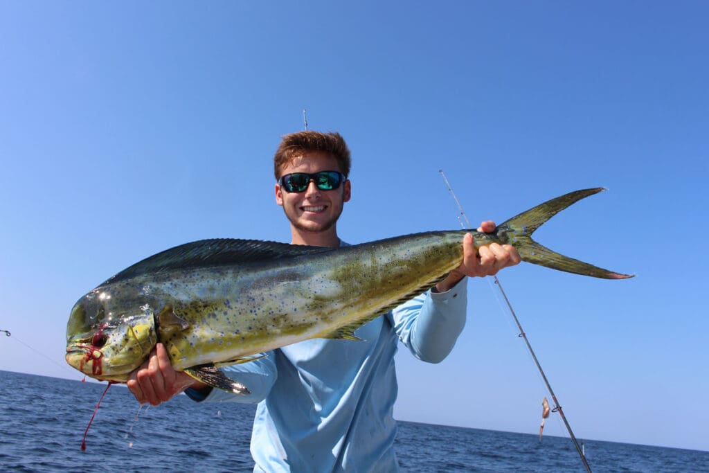 mah mahi fish