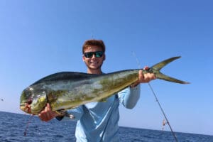 mah mahi fish