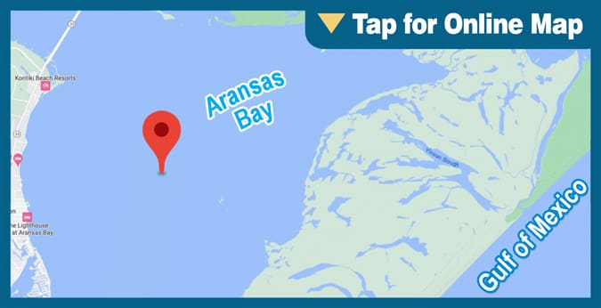 Aransas Bay: Halfmoon Reef