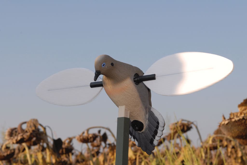 Battery powered decoys can effectively lure passing doves.