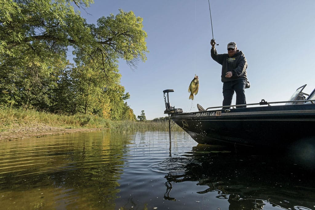 Crappie are abundant (and big!) especially in the eastern third of the state.