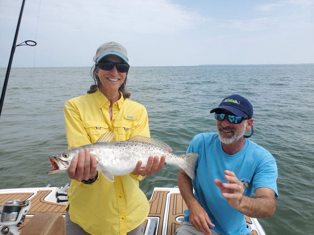 speckled sea trout