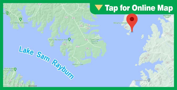 Lake Sam Rayburn: South Needmore Point