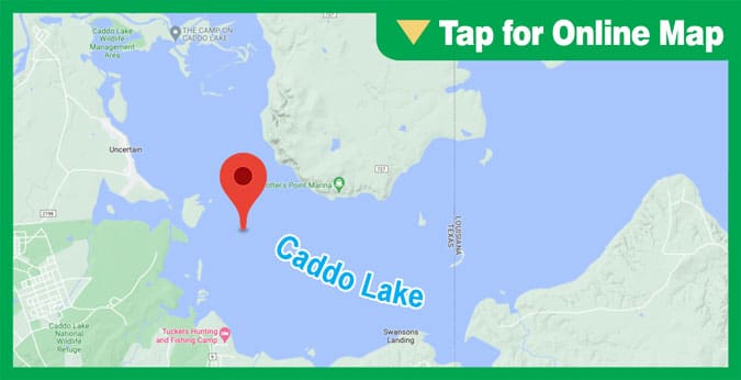 Caddo Lake: Twin Island Area