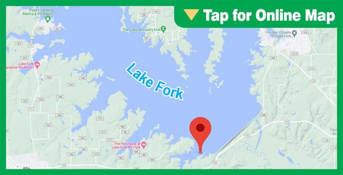 Lake Fork: Chaney Creek Timberline