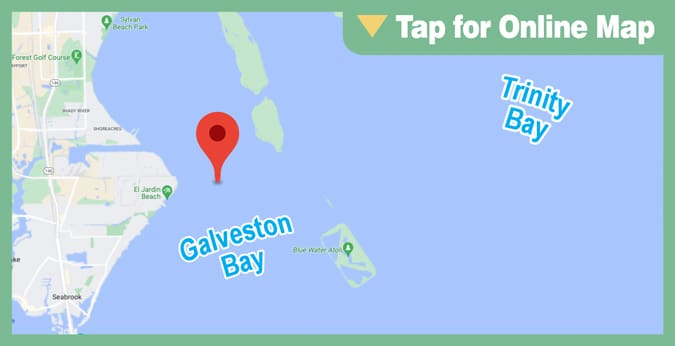 Galveston Bay: Red Bluff