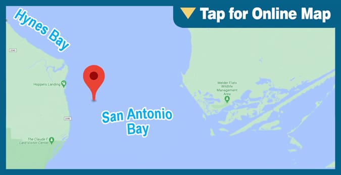 San Antonio Bay: Half Moon Reef