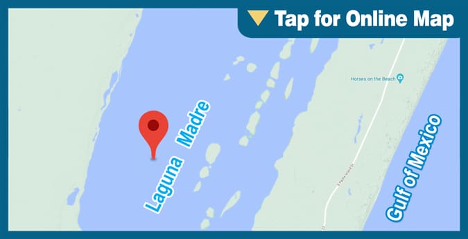 Upper Laguna Madre: Emmords Hole