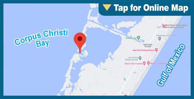 Corpus Christi Bay: Shamrock Cove