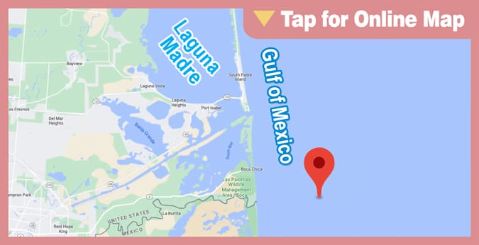 Gulf of Mexico: Port Isabel Reef