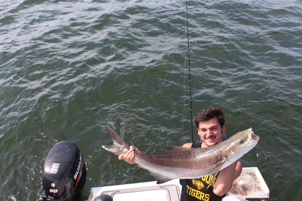 cobia fishing