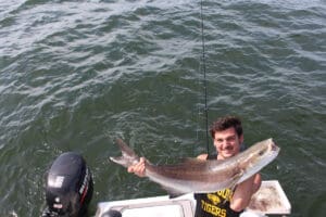 cobia fishing