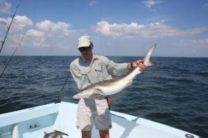 shark fishing