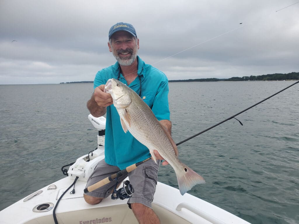 spot-lock on a reef with puppy drum