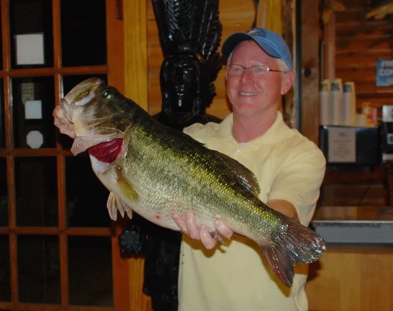 David Campbell Perciful caught this 13.14 pound bass on Lake Conroe and it qualified for the coveted Toyota Sharelunker program.