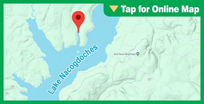 Lake Nacogdoches: Island Cove