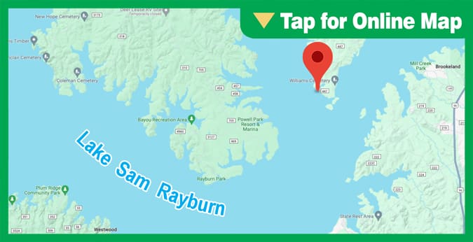 Lake Sam Rayburn: Needmore Point