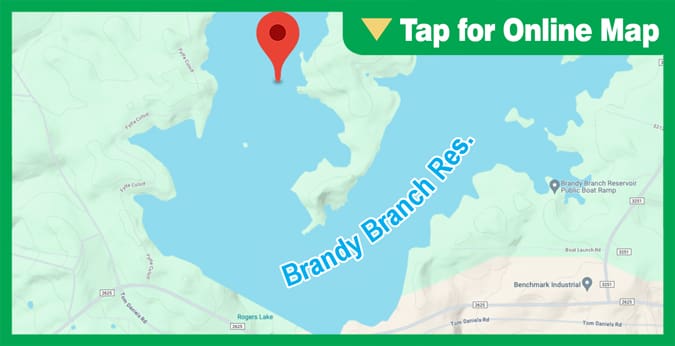 Brandy Branch Reservoir: Recreation Ridge