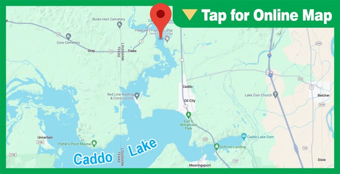 Caddo Lake: James Bayou and Bird Island areas