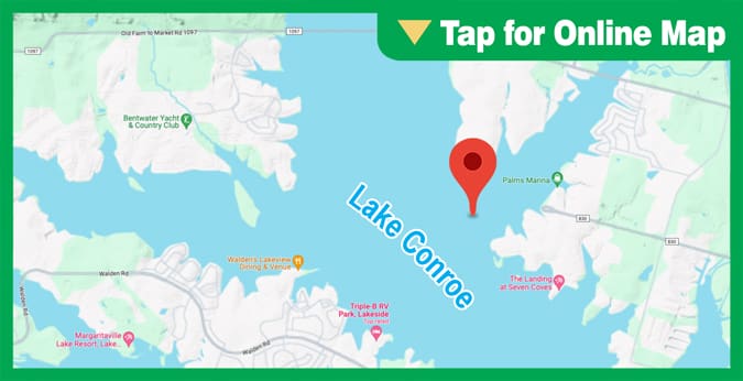 Lake Conroe: Lewis Creek