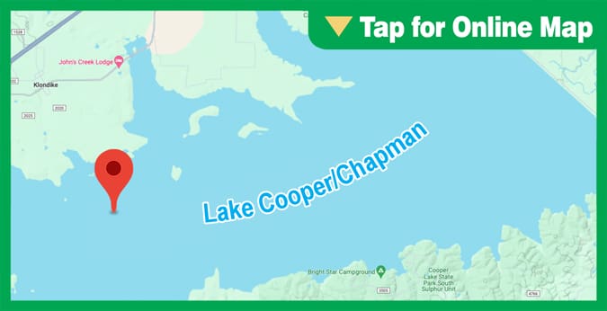 Lake Cooper/Jim Chapman: Honey Creek Rock Pile
