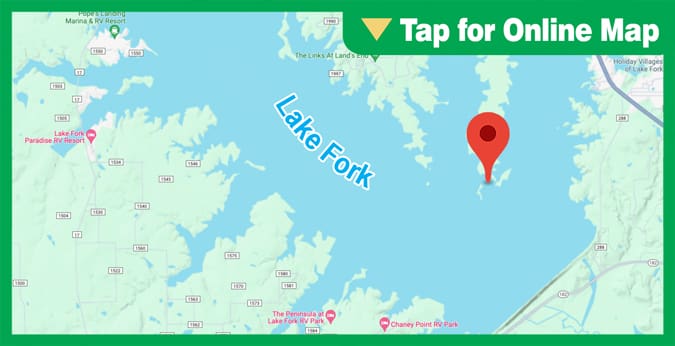 Lake Fork: Bird Island Point