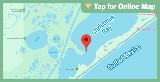 Christmas/Bastrop Bay: Arcadia Reef