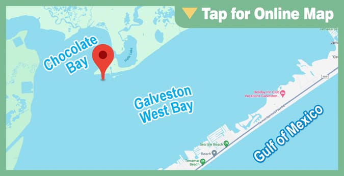 Galveston West Bay: Alligator Point