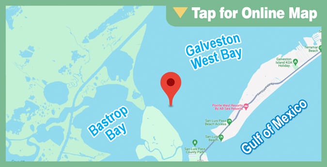 Galveston West Bay: Bird Island Flats