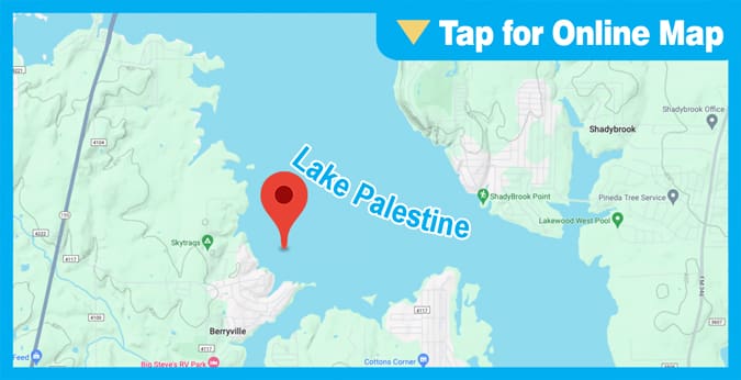 Lake Palestine: Main Lake