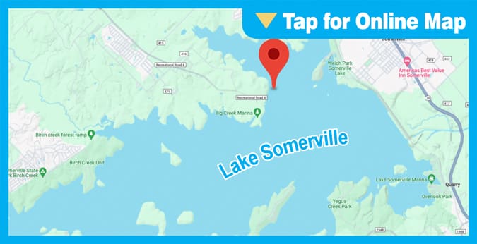 Lake Somerville: Big Creek East Shoreline