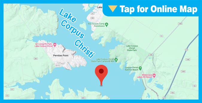 Lake Corpus Christi: State Park Cove