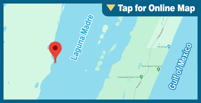 Upper Laguna Madre: King Ranch Shoreline